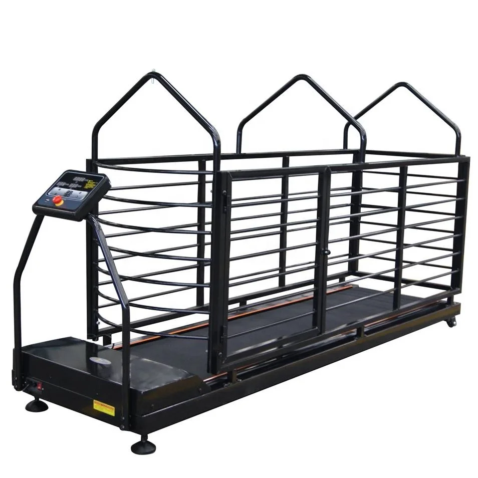 Dog Running Machine, Pet Treadmill, Animal Treadmill