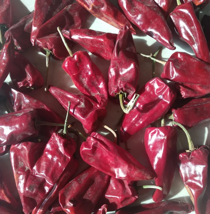 Китайский Порошок Чили дробленый chillli paprika powder