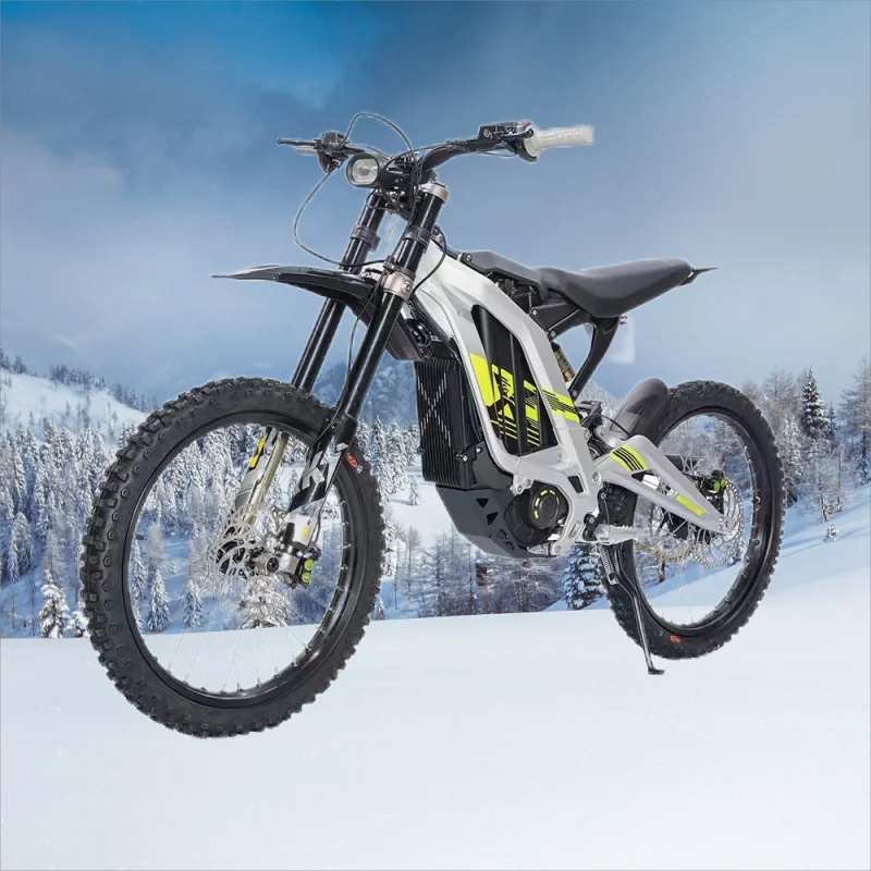 Electric Motorcycle 6000W 40ah Adult Off-road Electric Motorcycle Light Bee Dirt Bike 2024