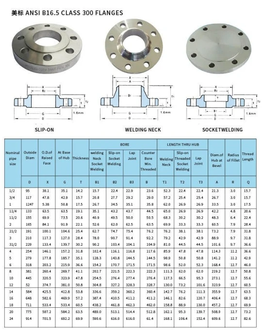 TF Welded on Pipes Machine Cast Iron Blind BS4504 PN10 PN16 F316L ASTM A182 316l Stainless Steel Flange for Section Connection