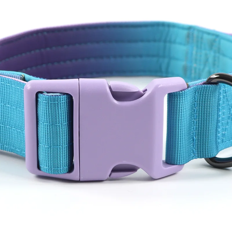Stylish Adjustable Purple and Blue Clashing Colour Pet Collar with Plastic Accessories Dog Collar with Soft Handle For Dog