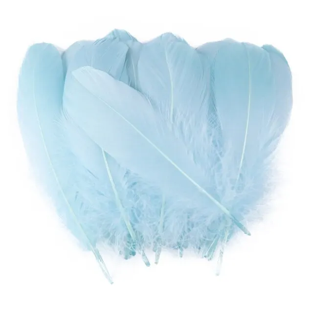 High Quality White Goose Feathers Goose Nagoire Loose Feathers For Sale Buy Goose Feathers