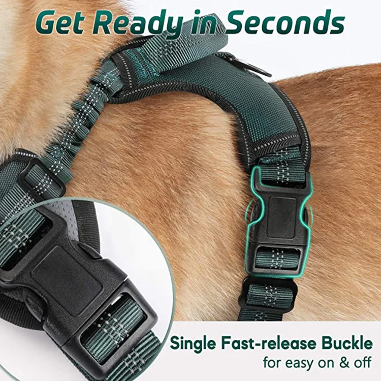 Adjustable Dog Walking Harness with 2 Metal Clips & Shock-Absorbing Bungee Straps