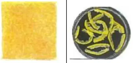 High quality delicious beauty syrup japan fruit flavor yuzu tea