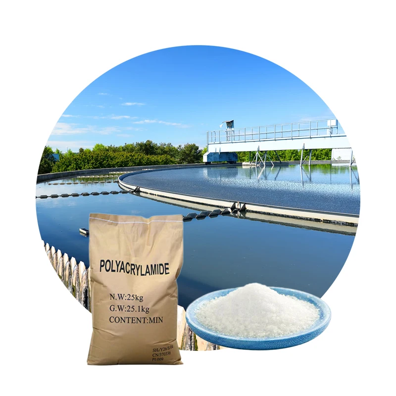 WELLDONE Specification Flocculant Cationic Polyacrylamide Cpam Flocculant-Polyacrylamide 100% Pam Manufacturer