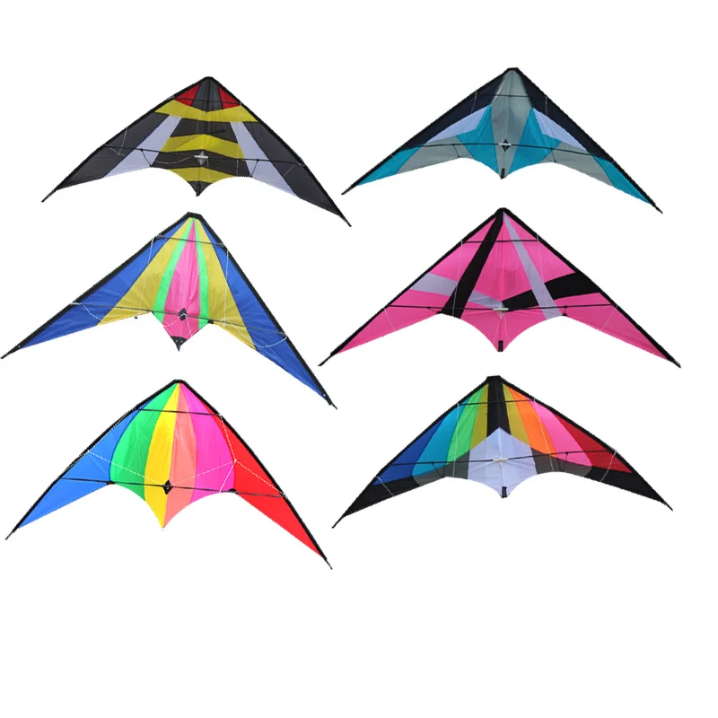 
Yongjian 2020 Dual Line Easy flying Custom Printed outdoor playing training leaf kite albatross stunt kite From Weifang 