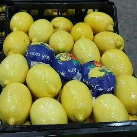 
100% Natural Pure Quality Rich Vitamin Fresh Fruit Lemon Citrus Fruit 