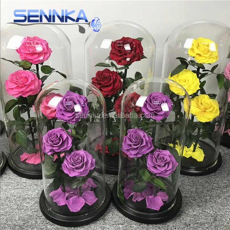 Wholesale preserved flower in glass handmade natural eternal for happy new year gift