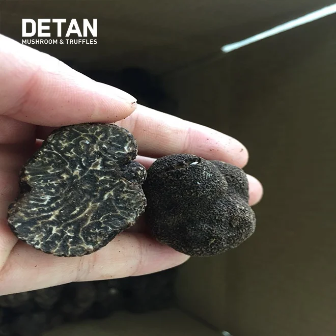 DETAN Китай экспортирует свежие трюфели и оптовые продажи.