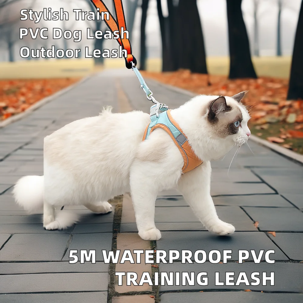 Waterproof PVC Honeycomb Webbing Dog Collar 5m Solid Pattern Simple Fashion Training Leash Cats Dogs Rabbits Outdoor Use Rivet