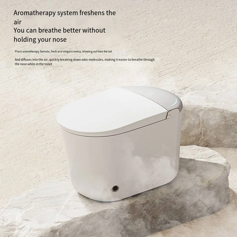 New Design Simple Egg Shape Floor Mounted Intelligent Sanitary Ware Water Closet Bathroom Ceramic Automatic Smart Toilet