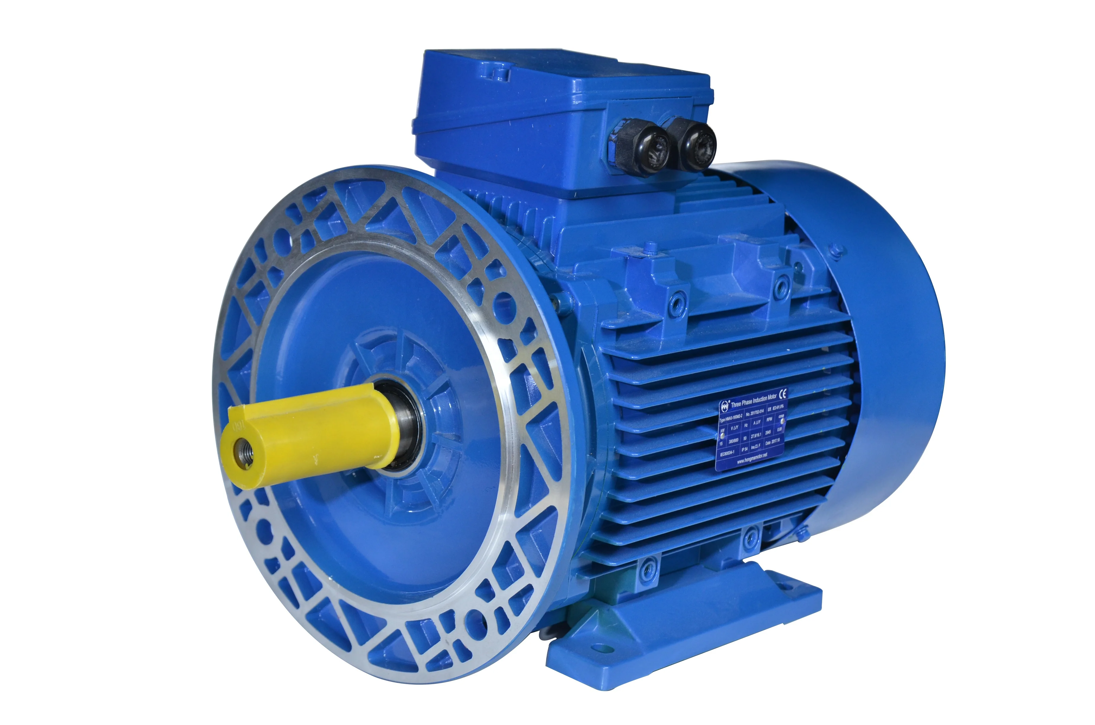 IE3 Premium efficiency three phase electrical induction motor with cast iron housing 2pole 22kw 30hp