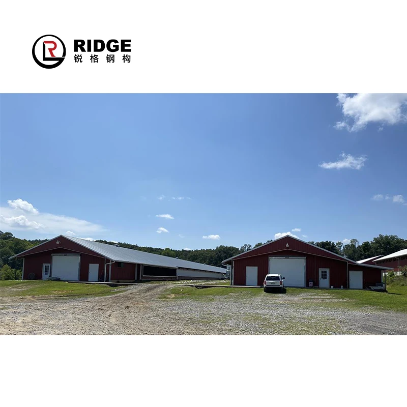 Commercial Steel Frame Broiler Poultry Farm Shed Prefabricated Chicken House Designs For Sale