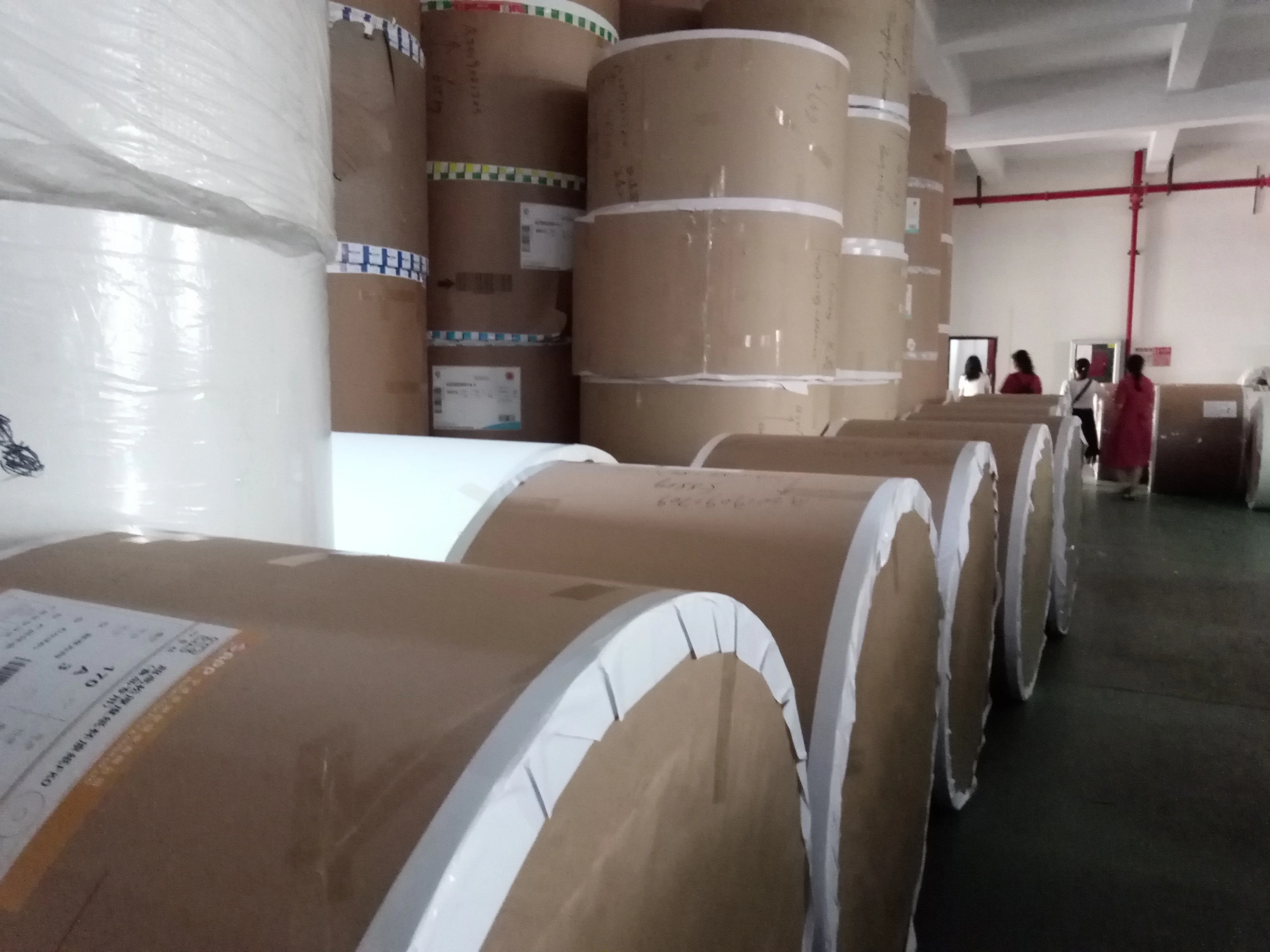 Paper Cup Eco-friendly Single Wall Pe Coated Wholesale in China Waterproof Tea Bag Beverage Pulp paper cup roll raw materials