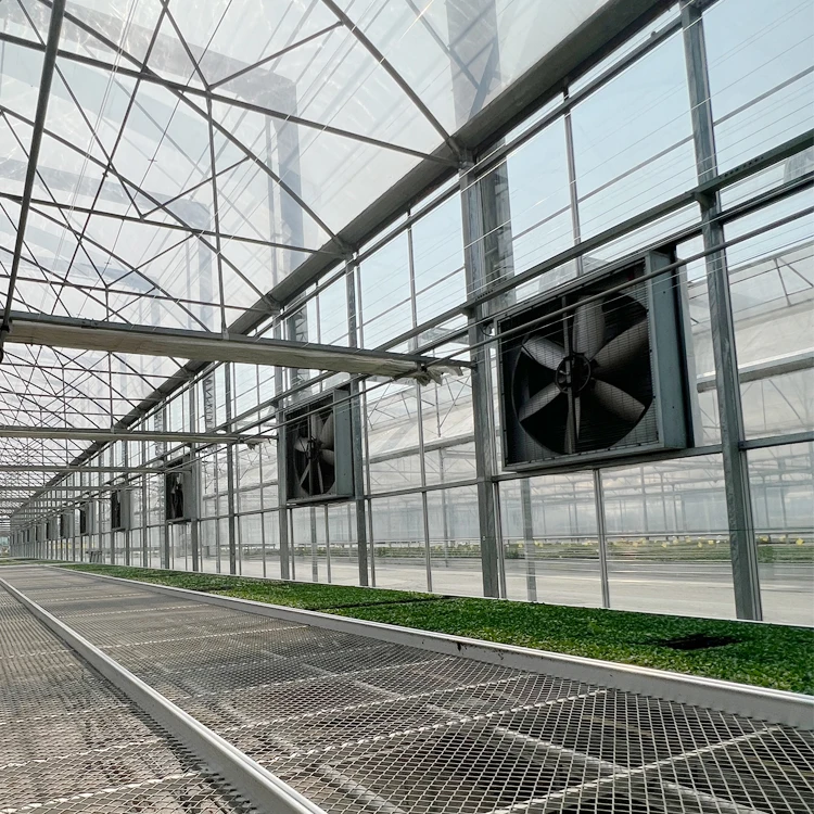 MYXL greenhouse roof exhaust ventilation fan