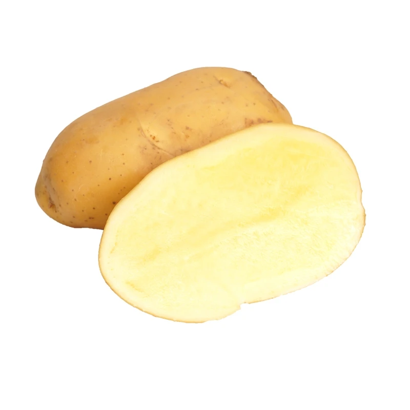 Fresh Potato Vegetable Export wholesale High Quality