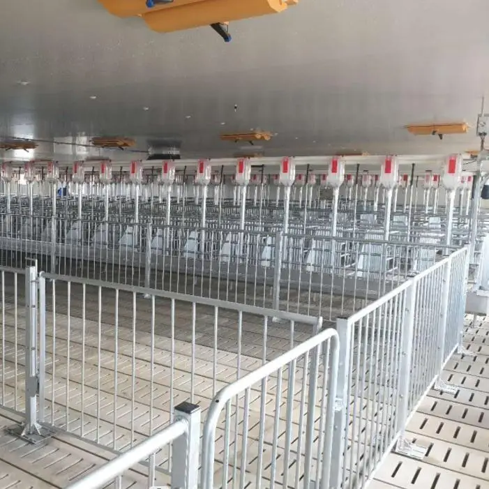 Steel structural poultry house for pigs with stainless steel crate system and other automatic equipment