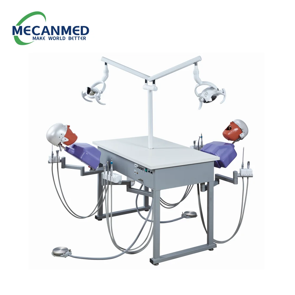 Top Quality Dental Education Manikins Dental Simulation Model Phantom Head Dentist Education Teach Studying Dental Simulator