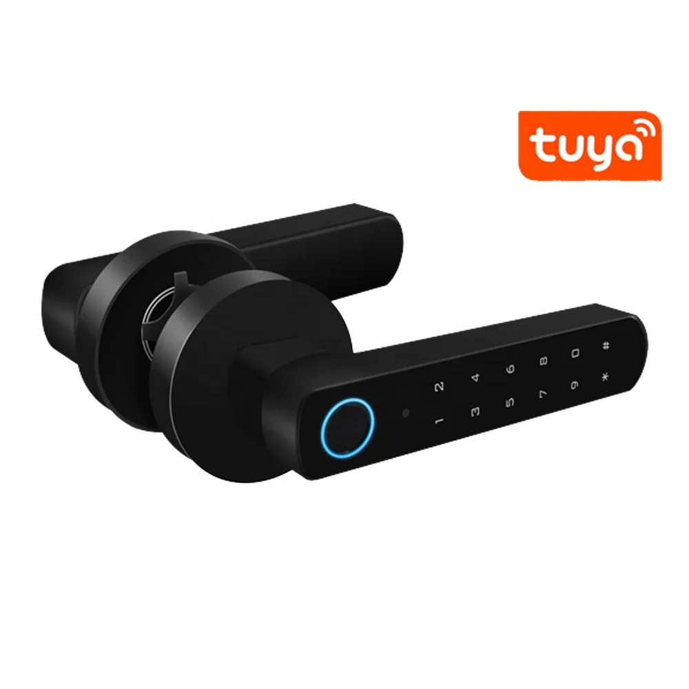 Дверной смарт-замок Tuya с Wi-Fi и приложением, биометрический замок с отпечатком пальца, дверная ручка, цифровой замок без ключа