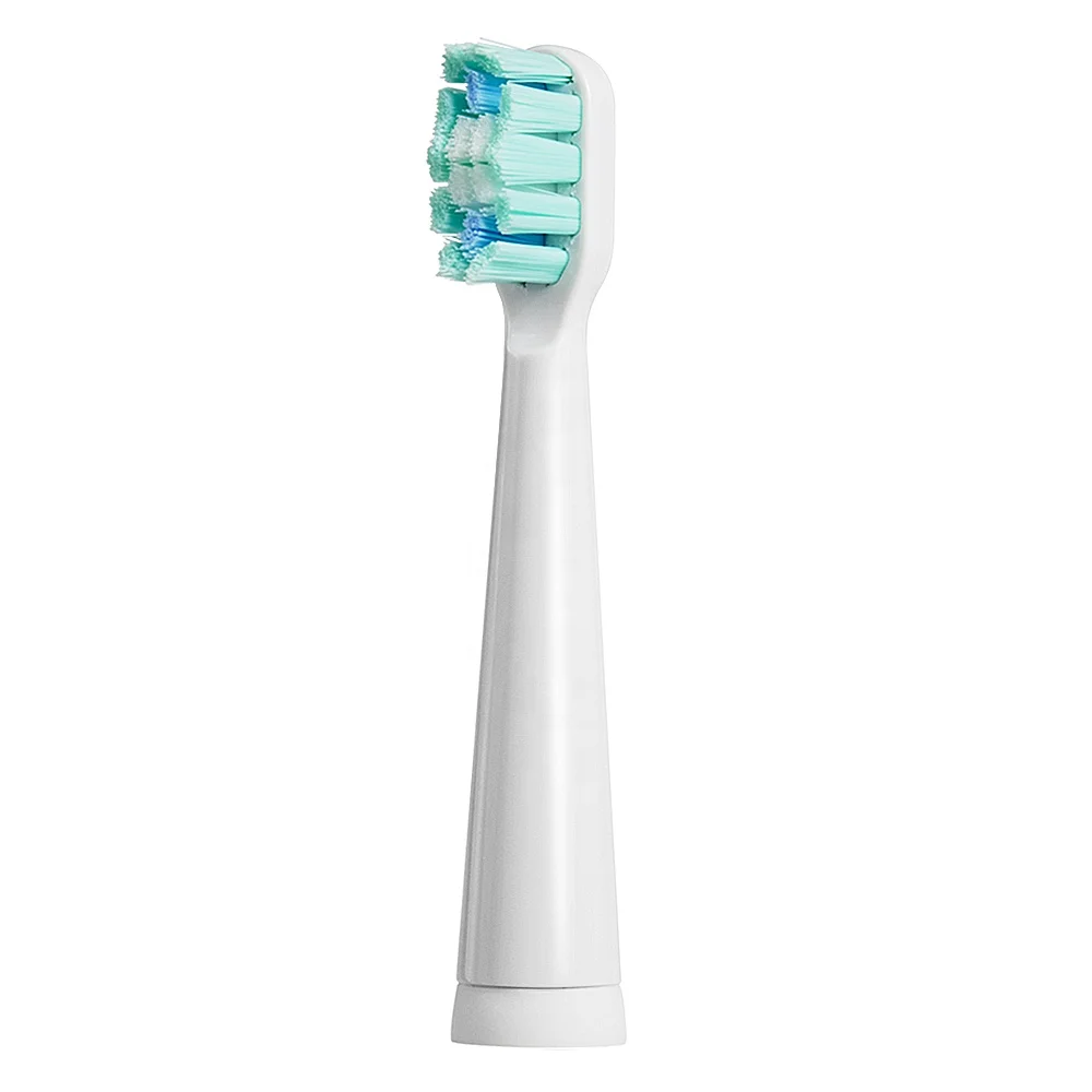 
PT19 Free Sample 10 Years Oral Care Factory USB Rechargeable Powered Vibrate Automatic Sonic Electric Toothbrush 