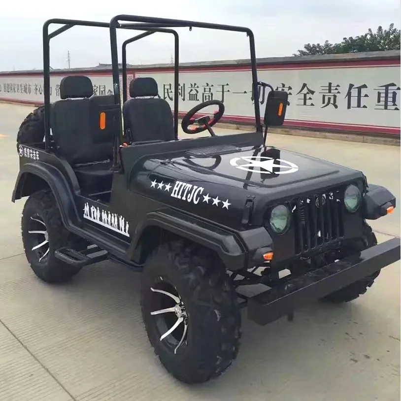 
Factory Direct Sell 2 Person 200CC Mini Jeep UTV For Adult 