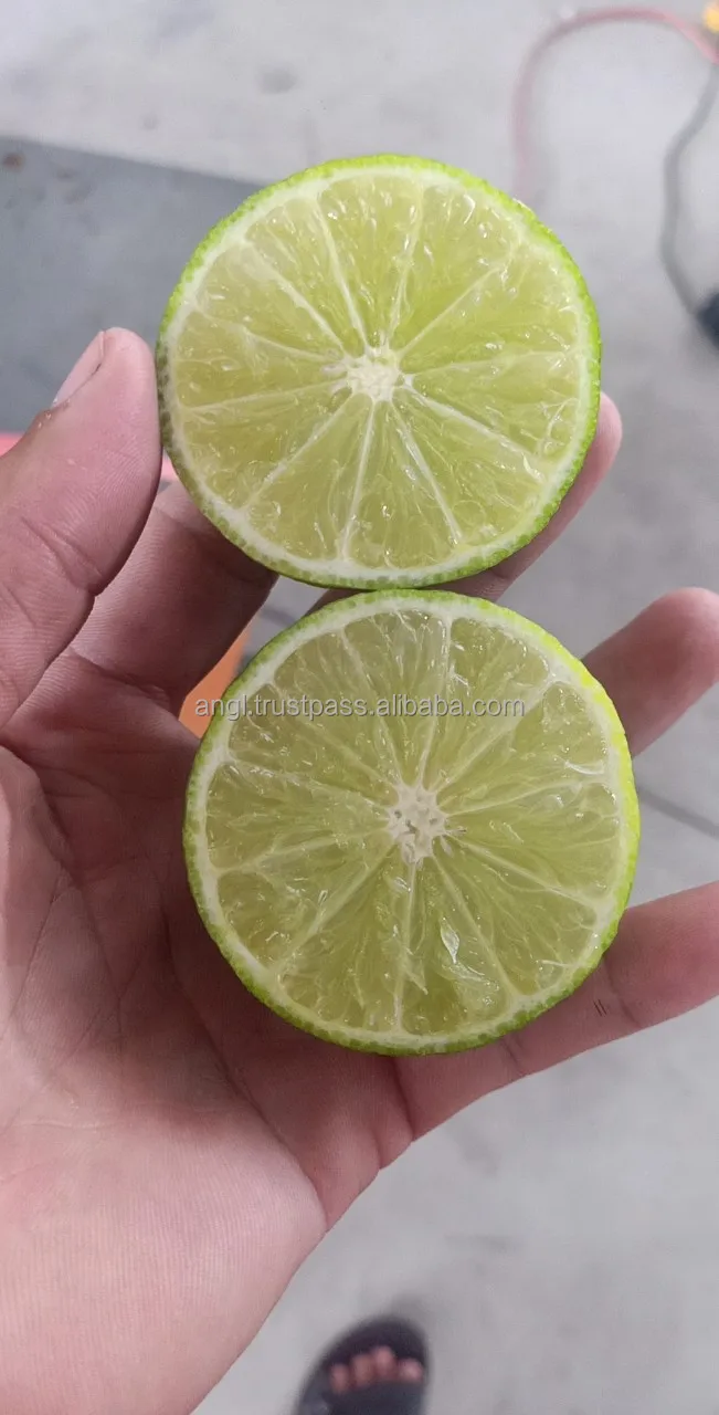 seedless2.jpg