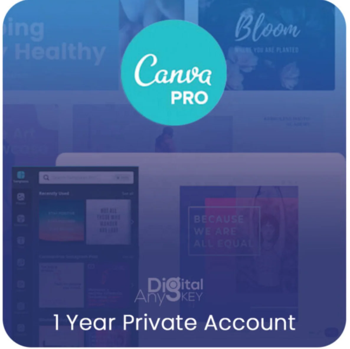 Canva Pro Private Account 1 Year Official Genuine Original Email Delivery Online Graphic Design Software