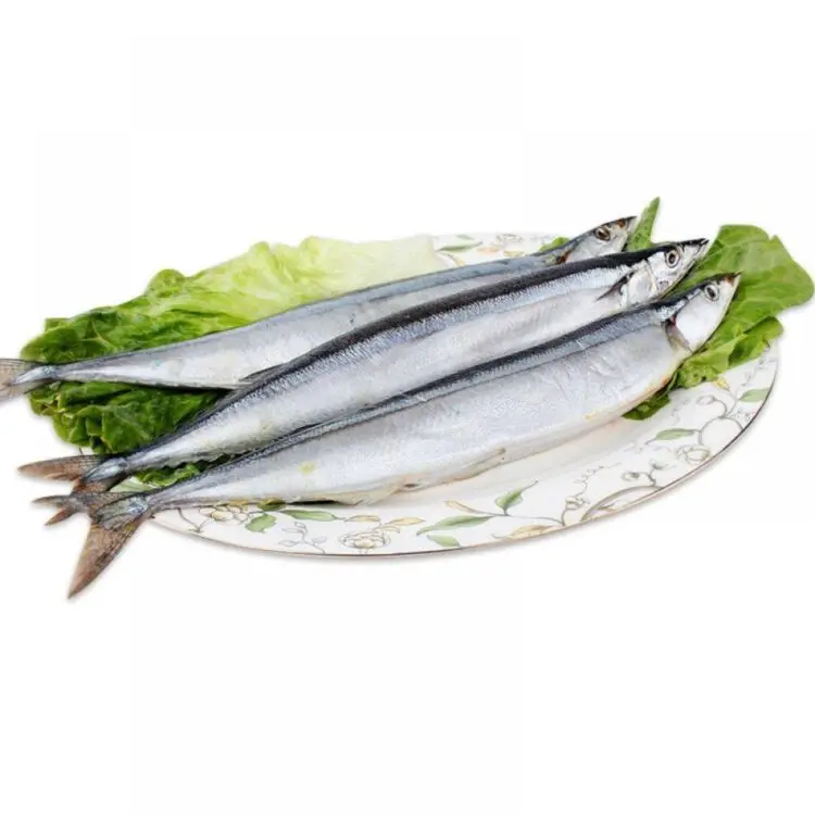 
Promotional High Quality Cheap Price Sea Food Frozen Pacific Saury Fish Whole Round 