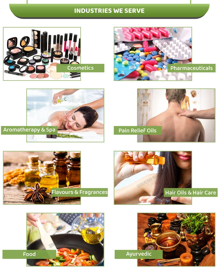 Trusted Supplier of Castor Cold Press Carrier Oil at Market Price