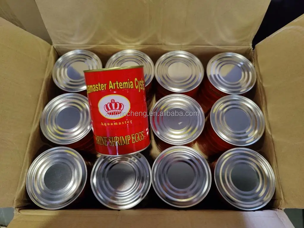 Support customized aquamaster Artemia Cysts eggs with high hatchability