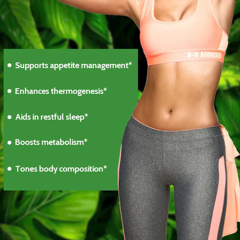 Oem Green Tea Extract Capsules  for Weight control ISO HACCP GMP factory super plus Fat Burner Tablet