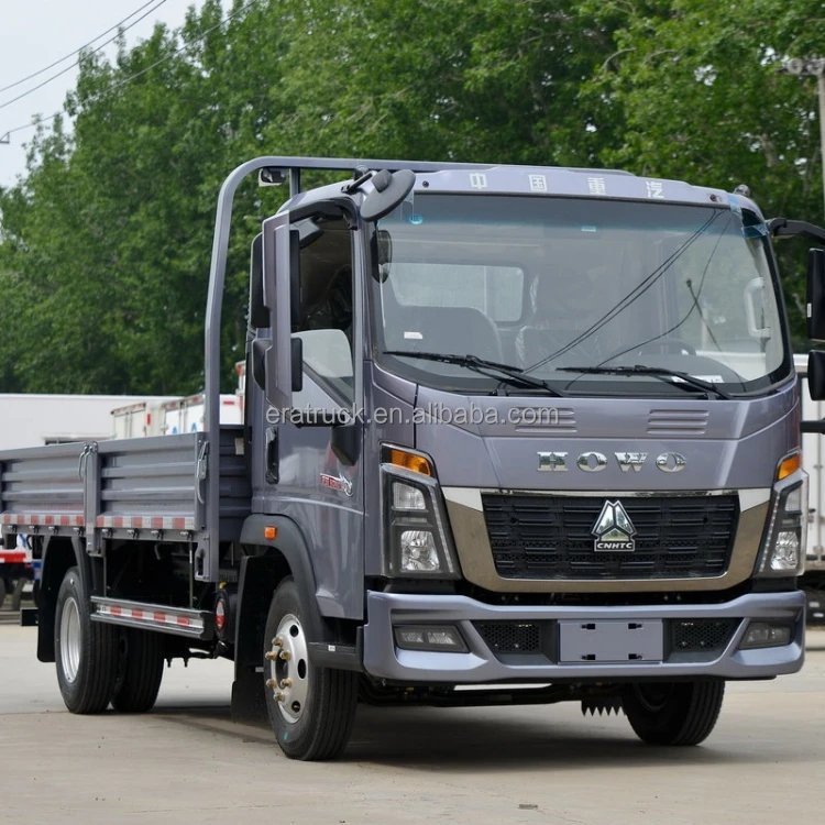 New SINOTRUK HOWO 4x4 4x2 6-Wheel  Diesel Manual Light Segment Rear Camera Euro 2 Left Sale Column Pate Cargo Truck for Sale