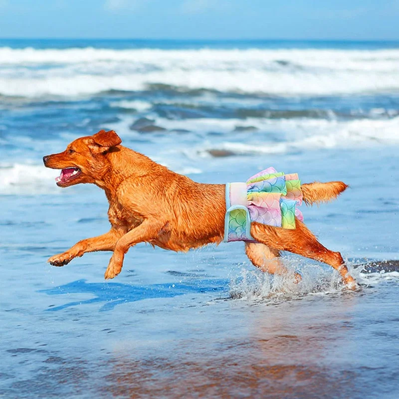 Hot selling dog physiological pants dog diapers physiological safety pants dog pants L