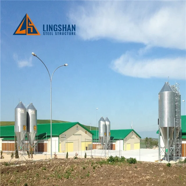 Automatic Poultry Layer Steel Structure Fast Build Chicken House For 1000 Chickens