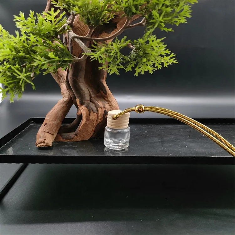 wholesale 5ml round glass bottle perfume diffuser indoor aroma pendant Car air outlet perfume hang car perfume freshener