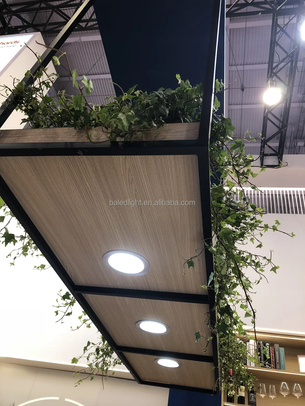 smd downlight (11).jpg