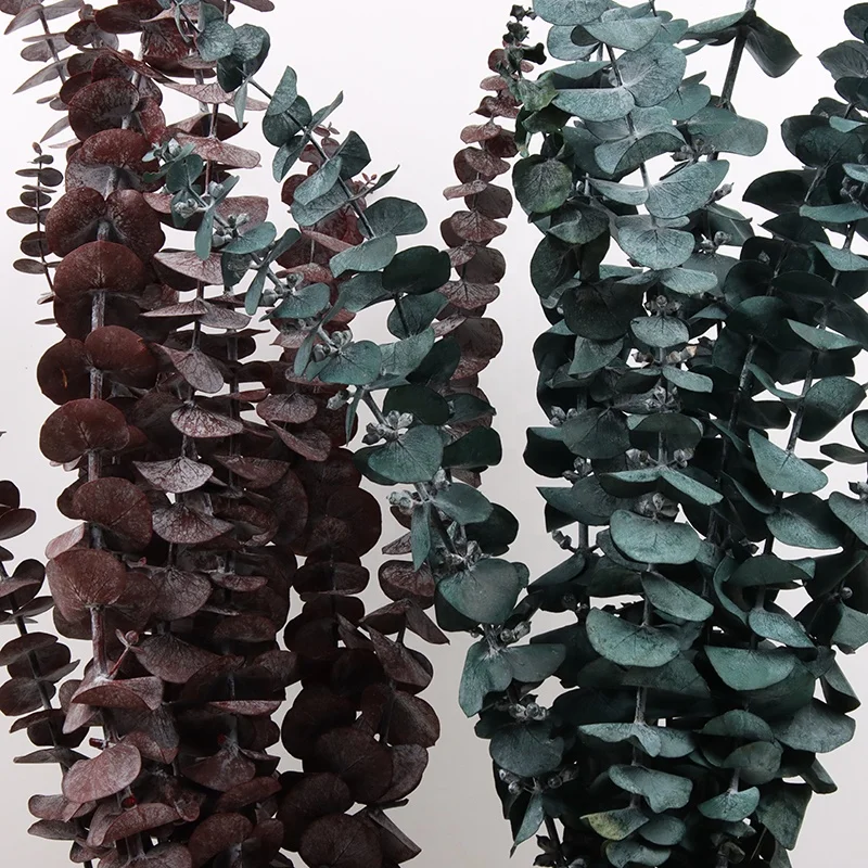 wall decoration white dried plants eucalyptus leaves wreath flower garland preserved flowers dried preserved