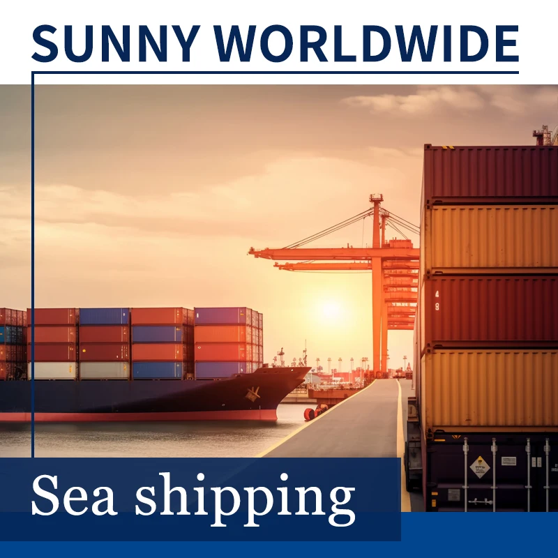Swwls  shipping agent shenzhen freight forward sea air cargo CIF DDU DDP service to Saudi Arabia from China  logistics company
