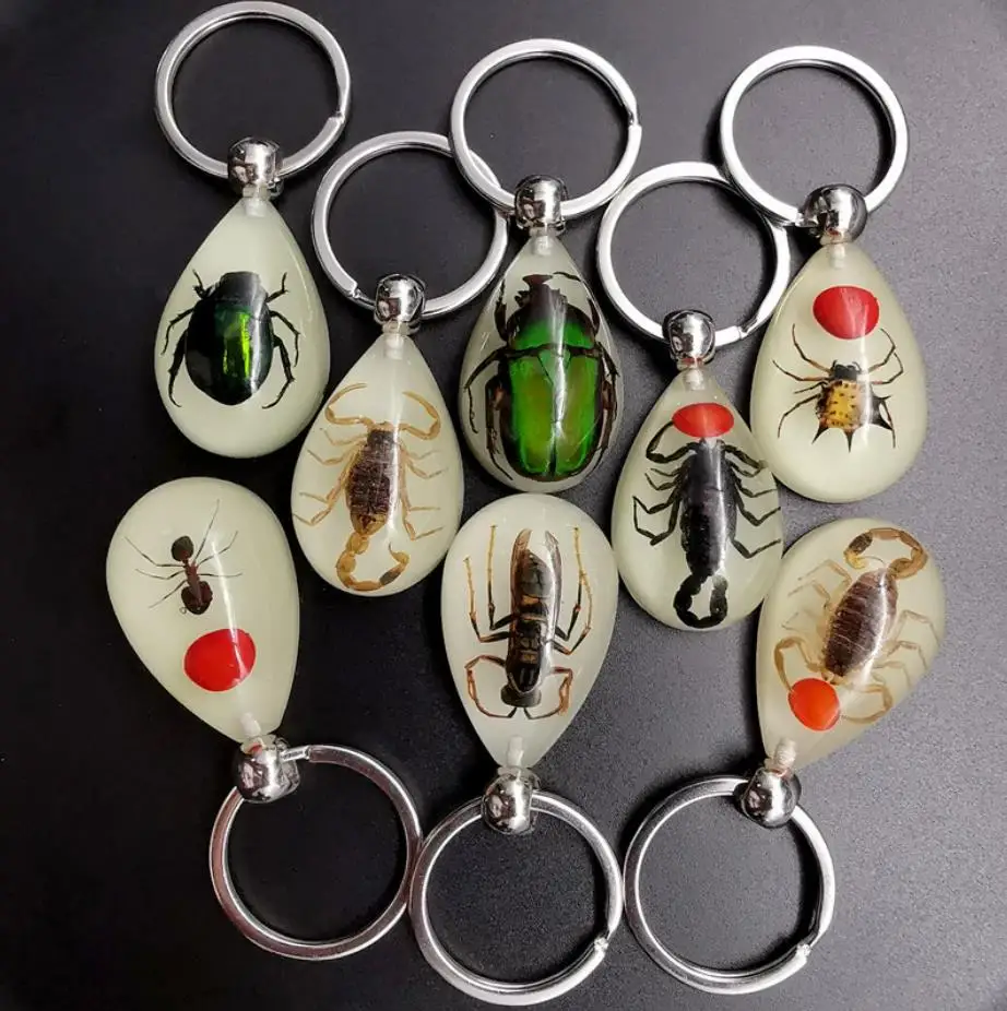 Wholesale Acrylic Plastic KeyChain Accessories Real Insect Inside Epoxy Resin Key Ring Amber Key Chain