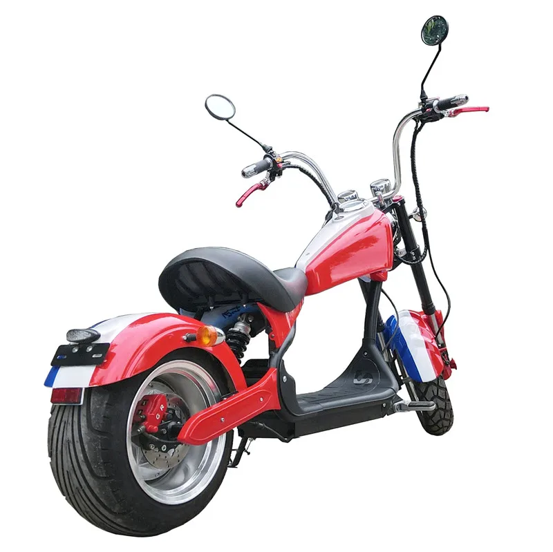 citycoco scooter.JPG