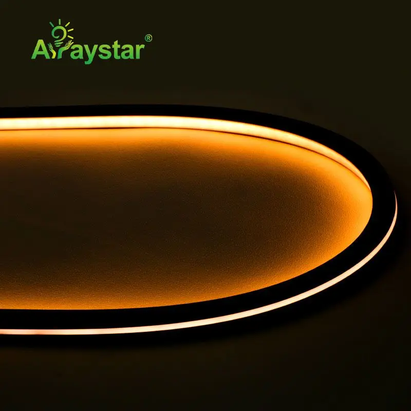Unique black housing silicone LED neon strip 10*10mm 24V 3000K 6000K dotless waterproof IP67 LED neon flex rope light for sign