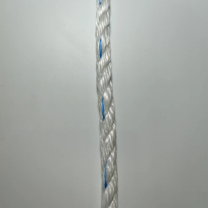 2024 Plastic Twine Light-Weighted Uhmwpe Rope