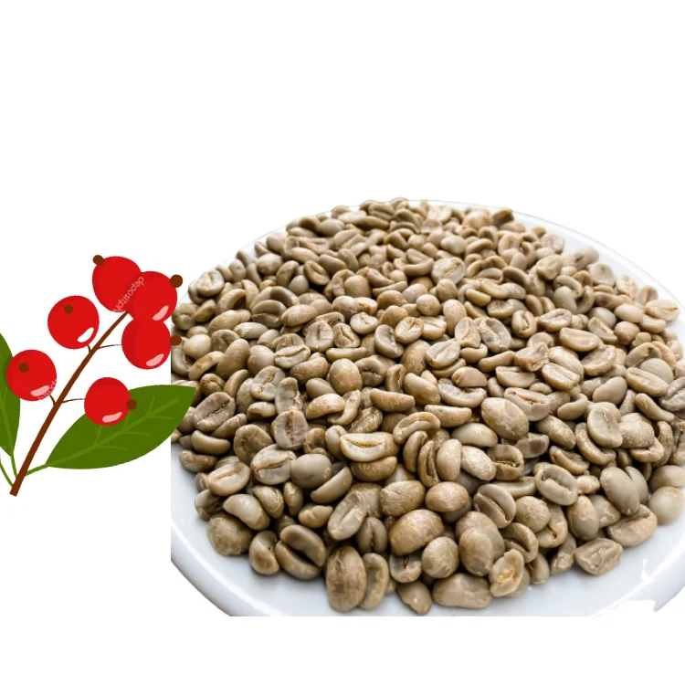 Arabica Green Coffee Beans Specialty  Arabica Catimor Green Coffee Beans Dry Processing Single Origin From VietNam Cau Dat Farm