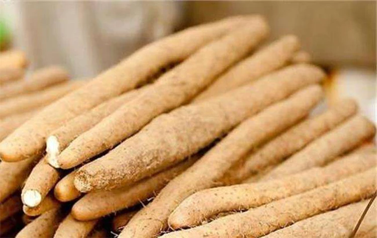 ISO Factory Klife Supply High Quality Pure Natural Wild Yam Root Extract Powder / Tuber for Food