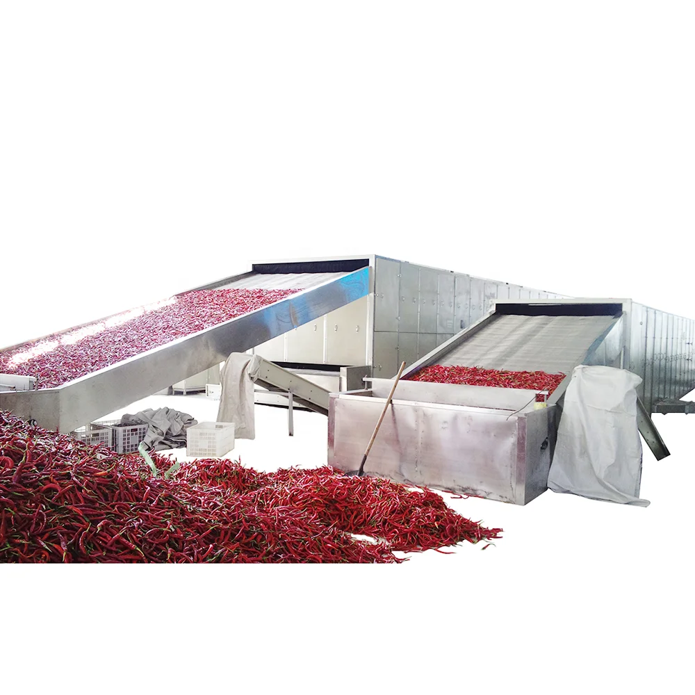 24 tons/24 Hrs automatic bird eye chili hot pepper belt drying machine with energy saving heat pump units