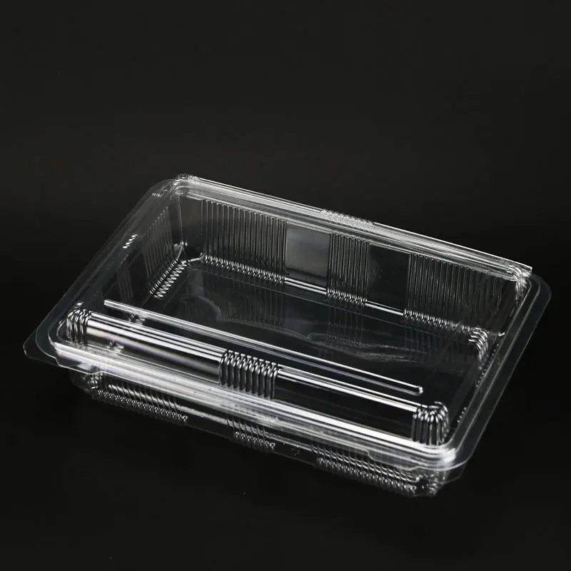 OEM Take Away Fast Food Packaging Wholesale Blister Disposable Fast Food Container Disposable