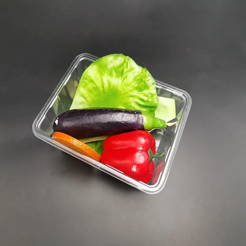 XIEFA Rectangular blister PET plastic transparent fruit and vegetable salad food container tray