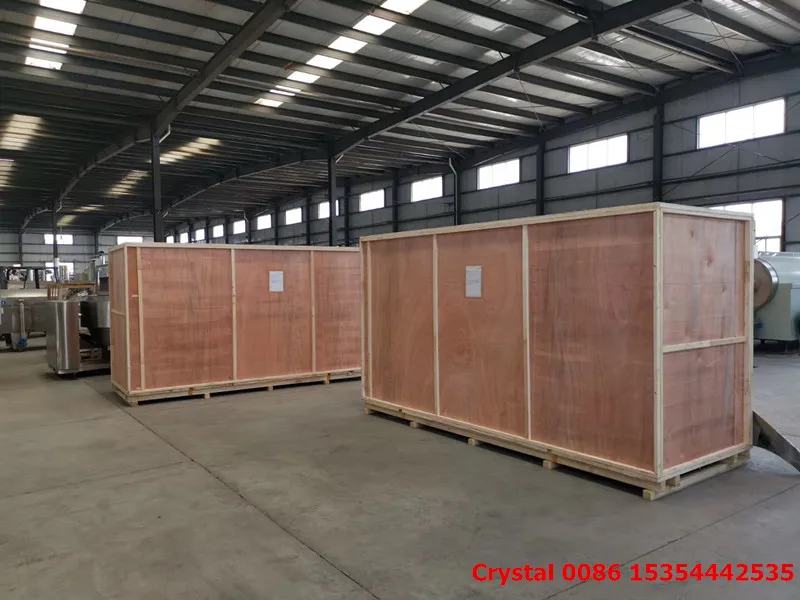 
potato chips flavoring machine 