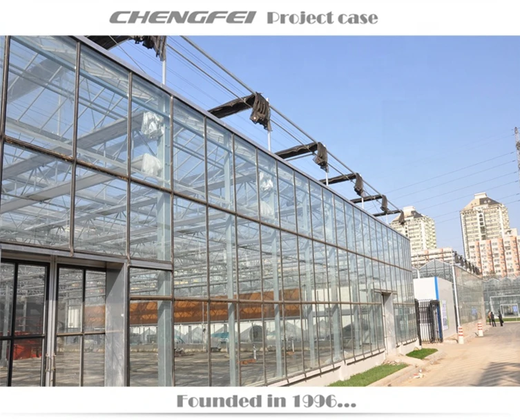 8m/9.6m/10.8m/12m/16m Span Glass Green Houses Agriculture Commercial Spain Large Green House