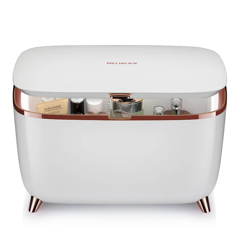 New Model Luxury Design Beauty Skin Care 9L Mini Fridge Cosmetics Makeup Refrigerator